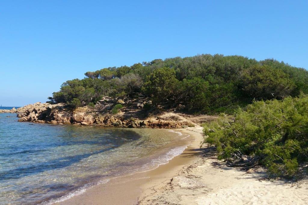 Villetta Con Vista Mare, Spiaggia A 200 Metri กันนิโจเน ภายนอก รูปภาพ